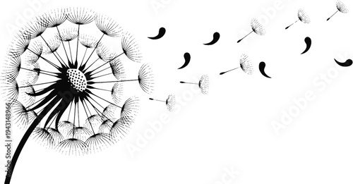 Black and White Dandelion with Seeds Blowing in the Wind
