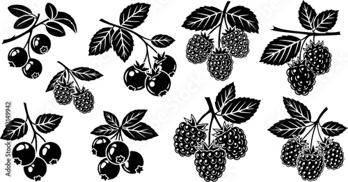 Black and White Icons of Berries on Branches and Bunch
