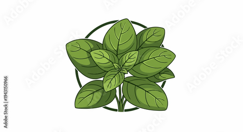 Artistic illustration of fresh green basil leaves within a circle