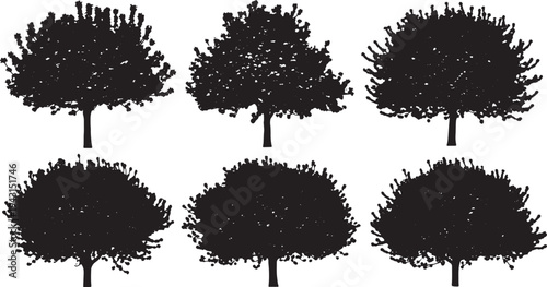 Black Solid Blooming Crabapple Tree Silhouettes Set of Six on White Background