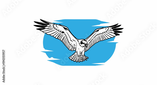 Striking illustration of an osprey bird in flight against a blue sky