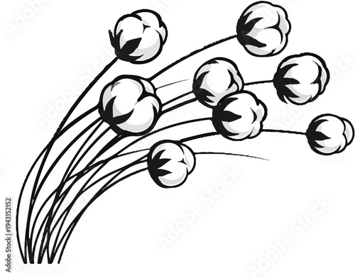 Stylized black and white illustration of cotton bolls on thin stems