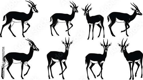 Gazelle illustrations, stylized poses, curved horns, slender bodies, black and white design, wildlife vector, animal set, nature icon