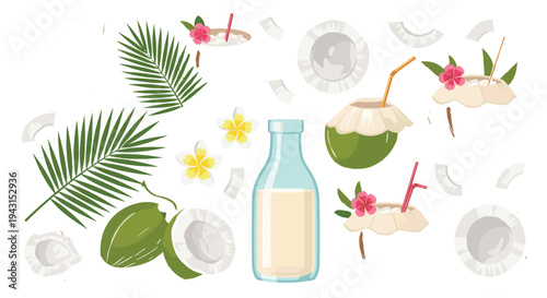 Coconut Drink and Tropical Elements Set with Palm Leaves Coconut Water Flowers and Shells Summer Vector Illustration