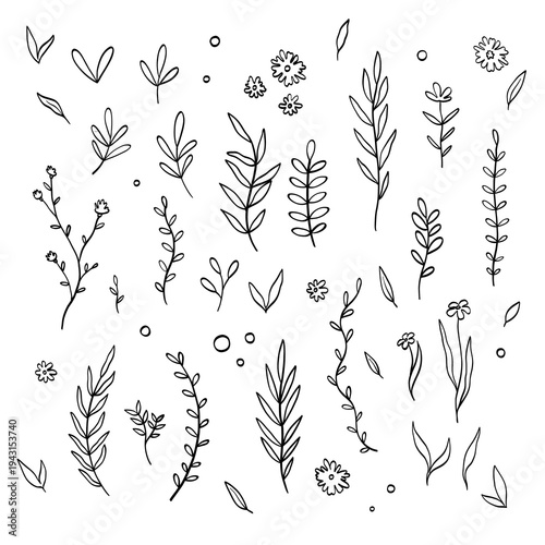 Set of hand-drawn line art botanical elements: various leaves, cartoon greenery