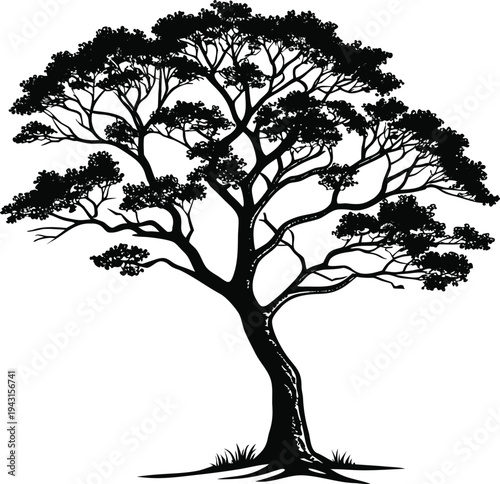 A black silhouette of a tree with sprawling branches against a white background