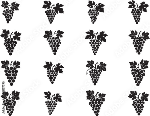 Wine Grape Vineyard Harvest Illustration