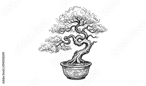 Bonsai tree hand-drawn sketch black and white original vector illustration