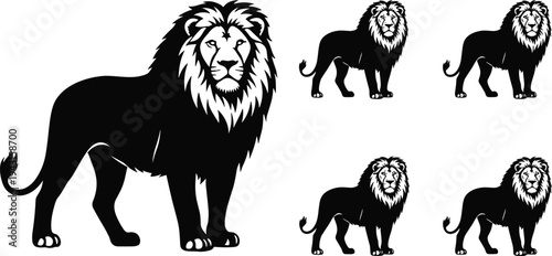 Majestic lion silhouette vector illustration set featuring standing African male lion with detailed mane wildlife animal logo design collection graphic