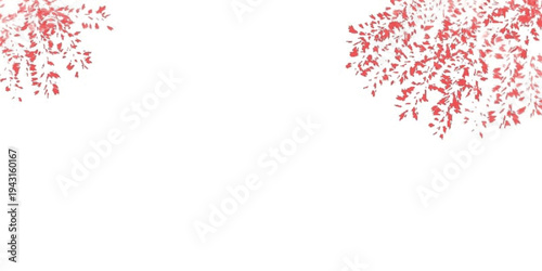 Red flower design on white background.