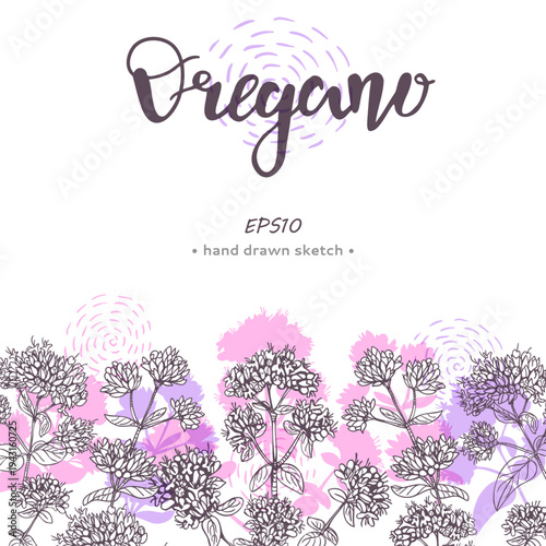 Composition of Oregano plant elements