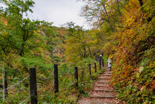 Konstfotografi 宮城県大崎市 色づき始めた紅葉の鳴子峡の谷底へと続く遊歩道と観光客