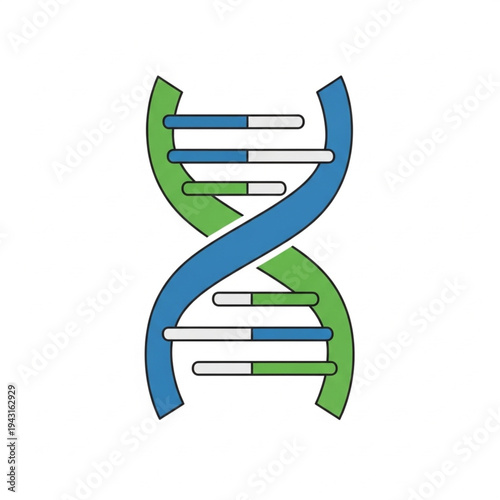 DNA Double Helix Structure Illustration.