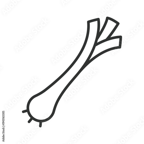 Green onion icon in line design. green onion scallion spring onion vegetable food ingredient fresh organic farm market cooking healthy on white background vector. green onion editable stroke icon