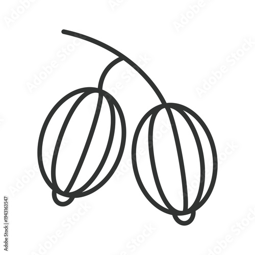 Gooseberry icon in line design. gooseberry berry fruit food fresh organic sweet healthy farm market nutrition dessert on white background vector. gooseberry editable stroke icon