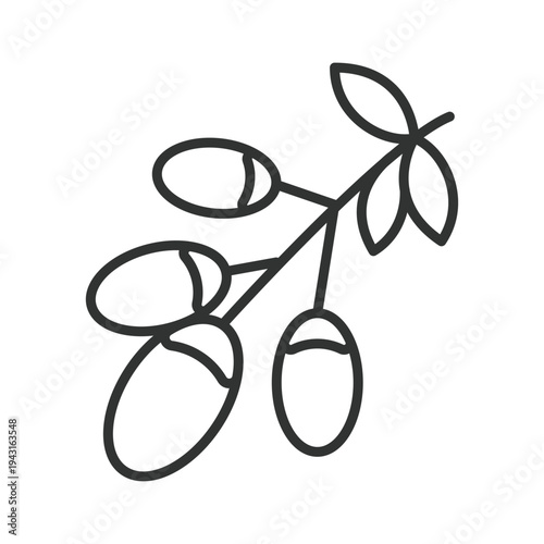 Goji berry icon in line design. goji berry fruit food fresh organic healthy superfood farm market vitamin nutrition on white background vector. goji berry editable stroke icon