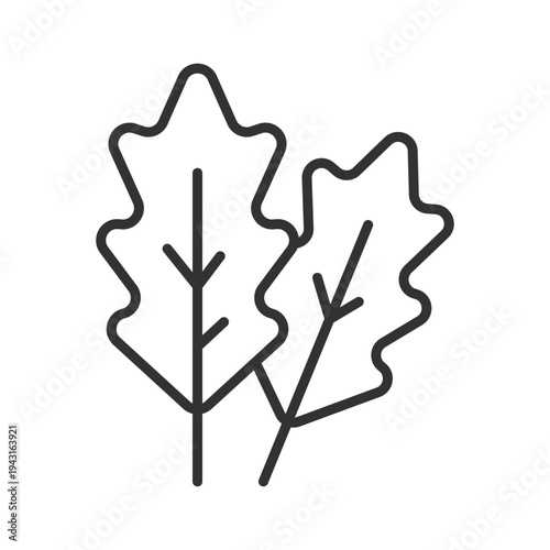 Oak leaf icon in line design. oak leaf plant nature botanical organic foliage forest plant food ingredient on white background vector. oak leaf editable stroke icon