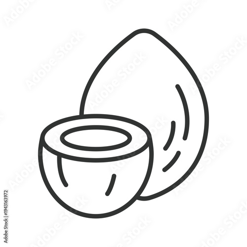 Coconut icon in line design. coconut tropical fruit food fresh organic healthy farm market nutrition dessert ingredient on white background vector. coconut editable stroke icon