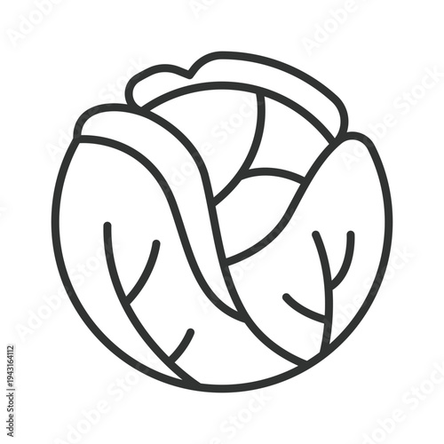 Cabbage icon in line design. cabbage vegetable food fresh organic healthy cooking ingredient farm market vegan vegetarian nutrition on white background vector. cabbage editable stroke icon