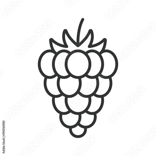 Raspberry icon in line design. raspberry berry fruit food fresh organic sweet healthy farm market nutrition dessert ingredient on white background vector. raspberry editable stroke icon