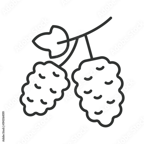 Mulberry icon in line design. mulberry berry fruit food fresh organic sweet healthy farm market nutrition dessert ingredient on white background vector. mulberry editable stroke icon