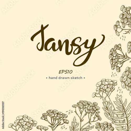 Composition of Common tansy plants