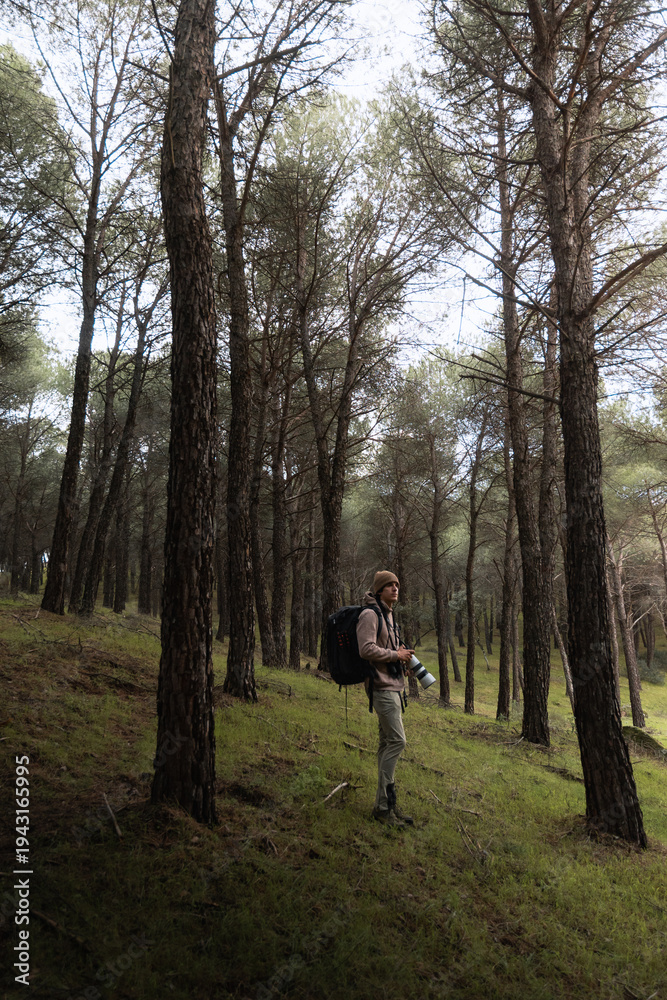 Fototapeta premium Photographer Standing Among Tall Pine Trees