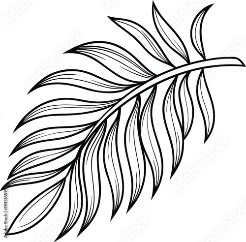 palm frond side view line art icon on transparent background