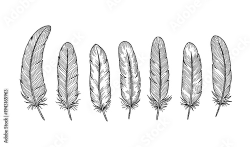 Hand drawn feather collection vector with seven detailed bird feathers in minimalist ink sketch style isolated on white background