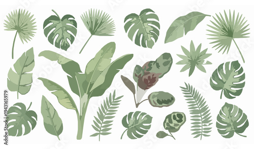 Hand drawn watercolor tropical foliage collection with monstera palm and jungle leaves botanical set isolated on white background