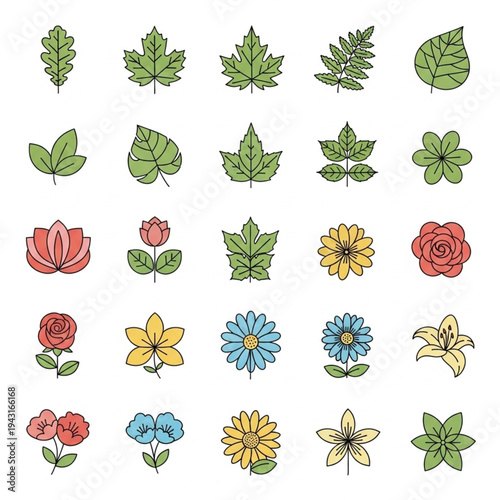 Colorful Hand Drawn Flowers and Leaves Collection.