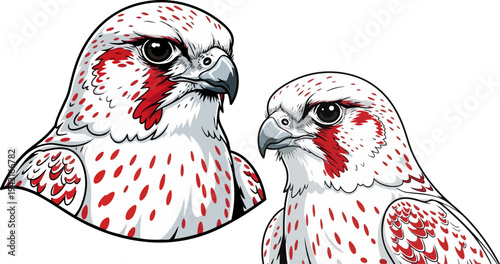 Set of 2 red and white bird heads vector illustrations