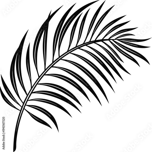 palm frond side view silhoutte icon on transparent background