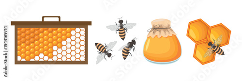 Organic Honey Production Concept with Bees and Comb