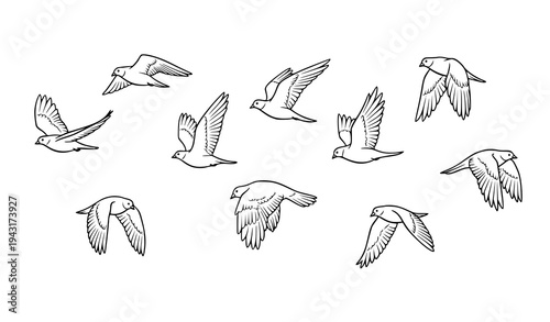 Hand Drawn Flock of Flying Birds Simple Line Art Vector