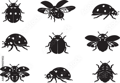  ladybug silhouette vector art various angles, insect collection