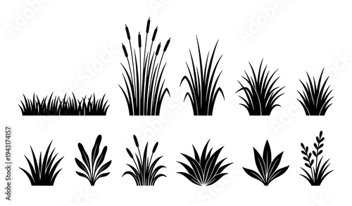 Flat grass vector set with lawn and meadow plants isolated on white background