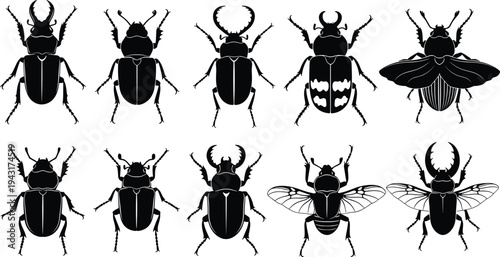 Beetle insect silhouettes collection vector illustration, various scarab and stag beetle species isolated icons set for entomology, wildlife design, biology education, nature elements