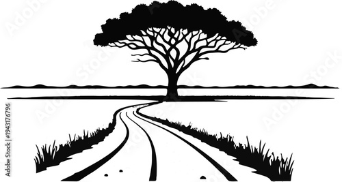 Iconic silhouette of a lone acacia tree shading a winding path through savanna