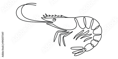 Minimalist Continuous Line Drawing of a Shrimp Vector
