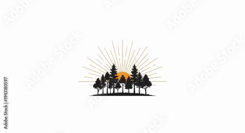 Silhouette of pine trees against an orange sunset with radiating sunbeams