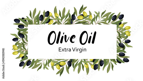 Elegant olive oil label template with a rectangular text area surrounded by lush olive branches with green and black olives. Modern  illustration designed for extra virgin olive oil packaging