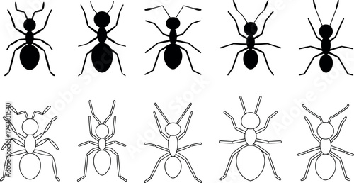 Set of ants in different poses and line styles vector illustration