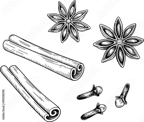 Cinnamon sticks, star anise and cloves spice set, hand drawn vintage vector illustration of aromatic cooking ingredients isolated on white