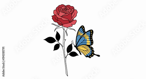 A vibrant butterfly with blue and yellow wings rests near a single red rose