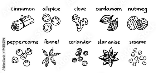 Spice icon set, line ingredient illustration