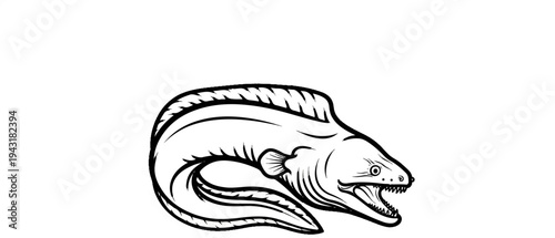 A black and white line drawing of a moray eel with its mouth open, showing sharp teeth