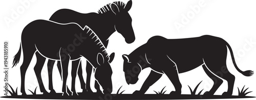 Lion hunting zebras in savanna grass silhouettes animals wildlife safari illustration