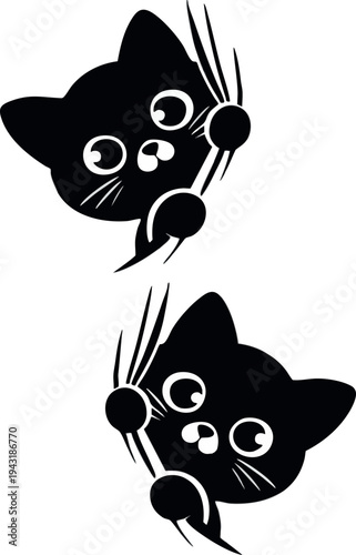 A cute black and white cat sitting and looking forward