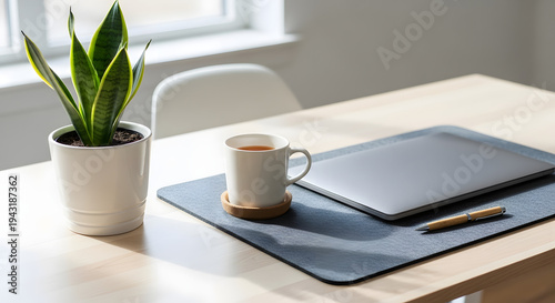 laptop in the office